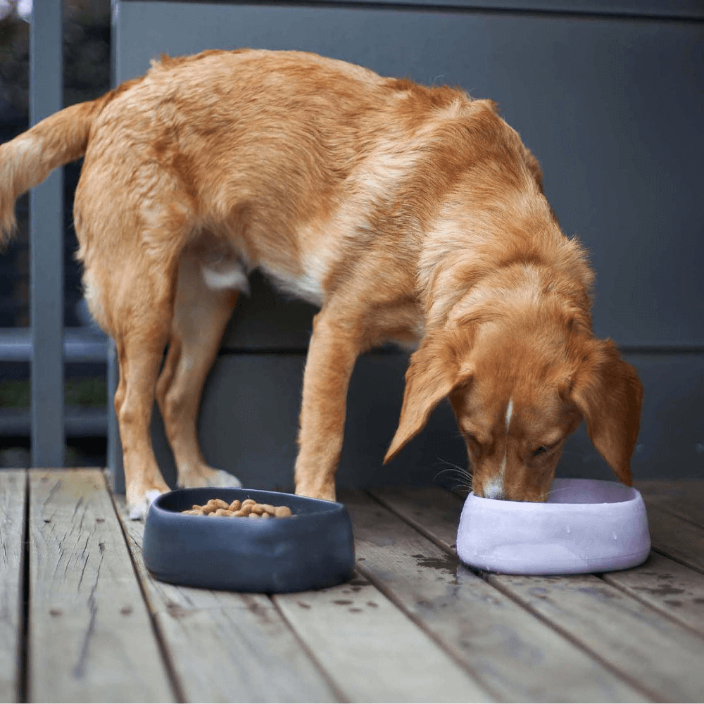 The Better Bowl Australian Recycled Plastic Dog Bowl Charcoal 9 The Better Bowl Australian Recycled Plastic Dog Bowl Charcoal