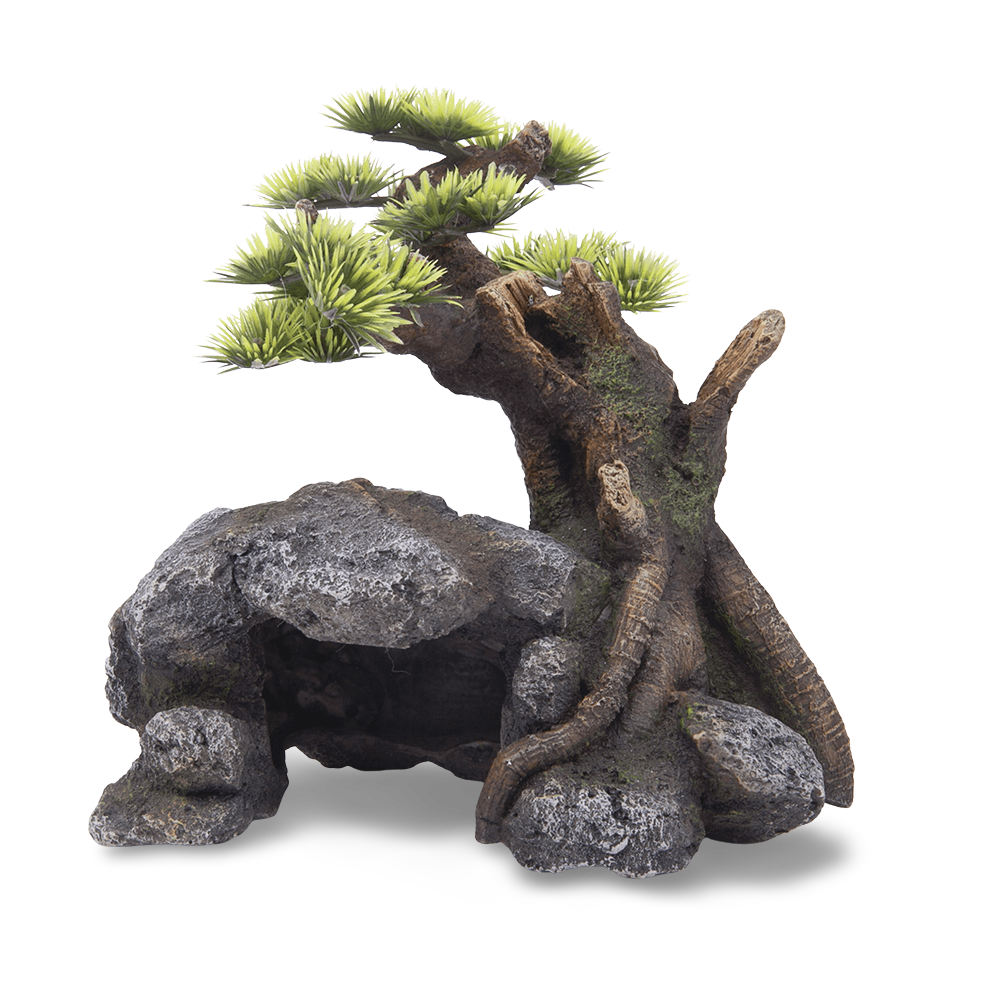 Bonsai With Cave And Plants