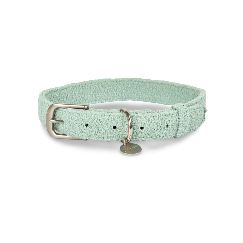 Dog Collar Sage 1 Dog Collar Sage