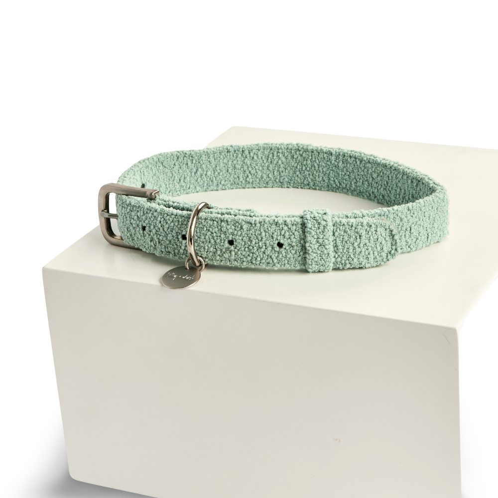 Dog Collar Sage 2 Dog Collar Sage