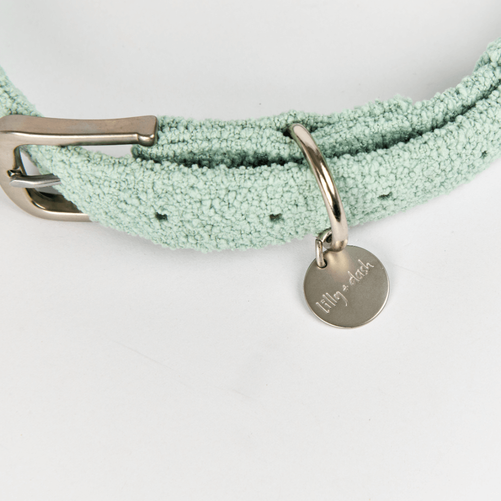 Dog Collar Sage 3 Dog Collar Sage