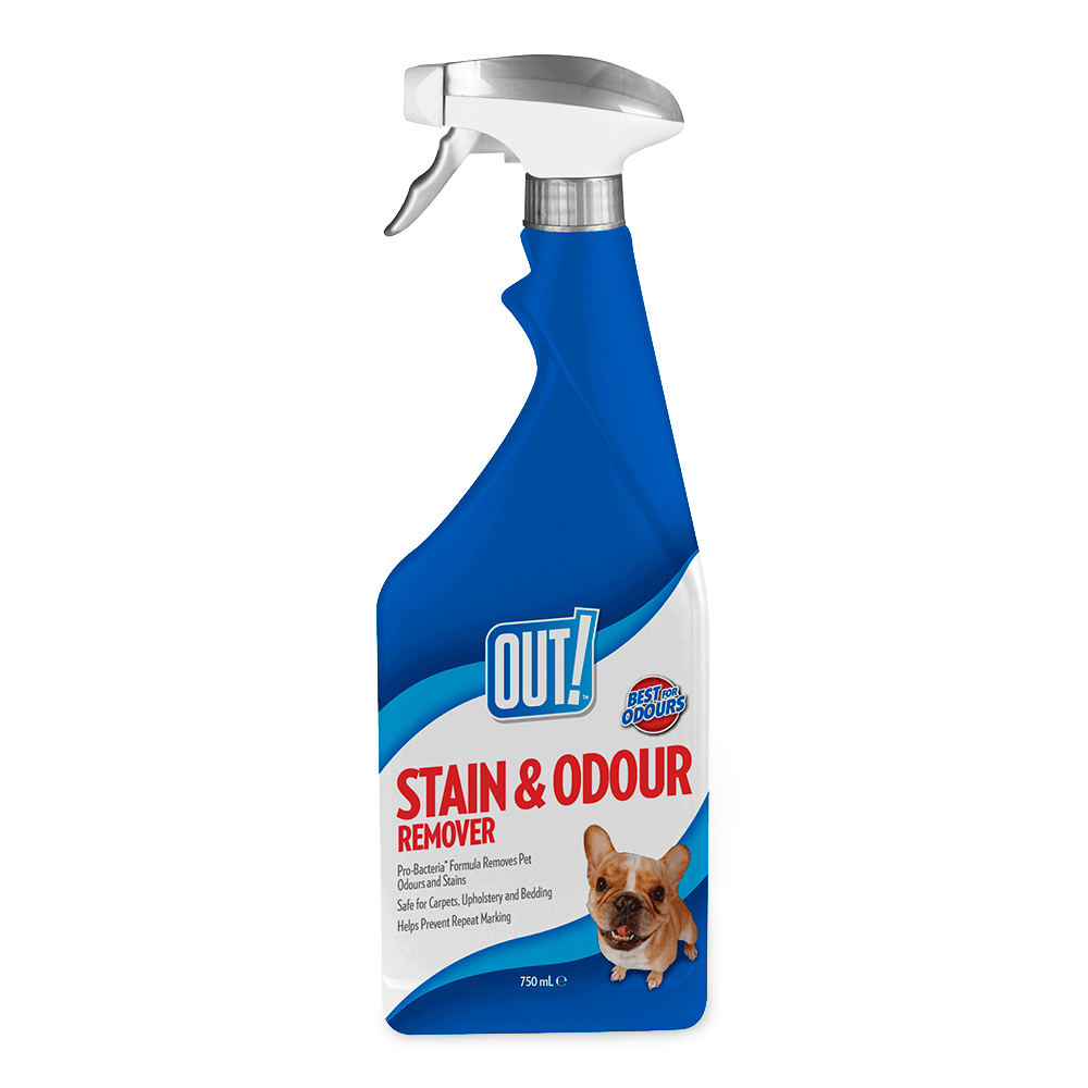 Stain And Odor Remover