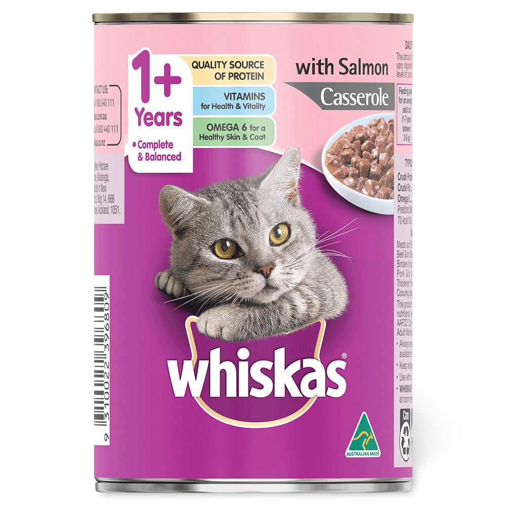 1 Plus Salmon Casserole Wet Cat Food 1 1 Plus Salmon Casserole Wet Cat Food