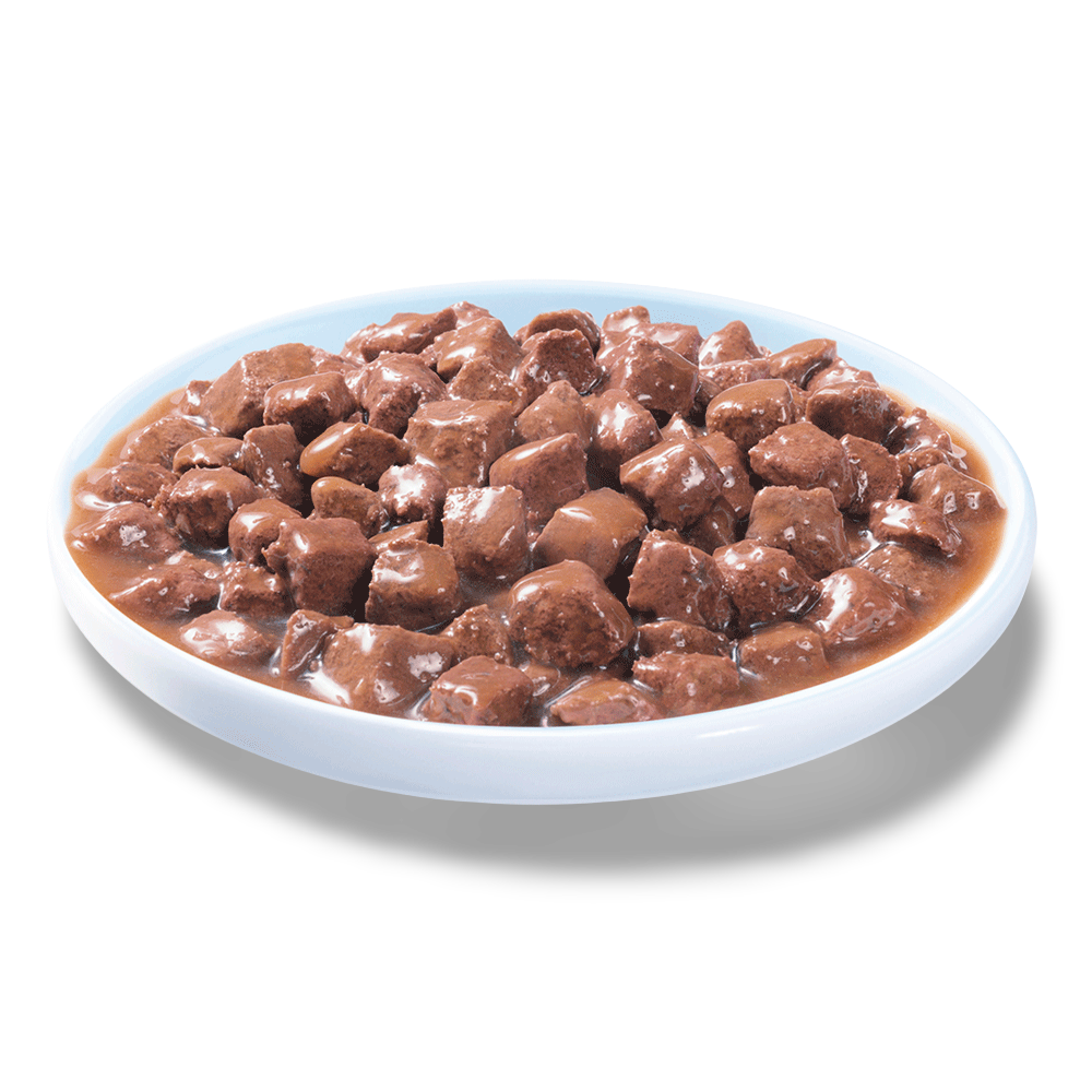 1 Plus Salmon Casserole Wet Cat Food 2 1 Plus Salmon Casserole Wet Cat Food