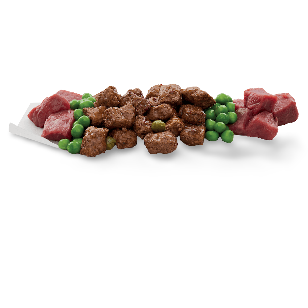 Adult Wet Dog Food Beef Vegies Gravy Casserole 11 Adult Wet Dog Food Beef Vegies Gravy Casserole