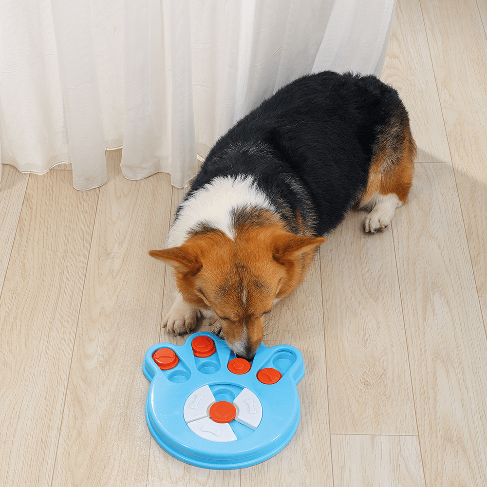 Carnivore Puzzle Dog Toy 3 Carnivore Puzzle Dog Toy