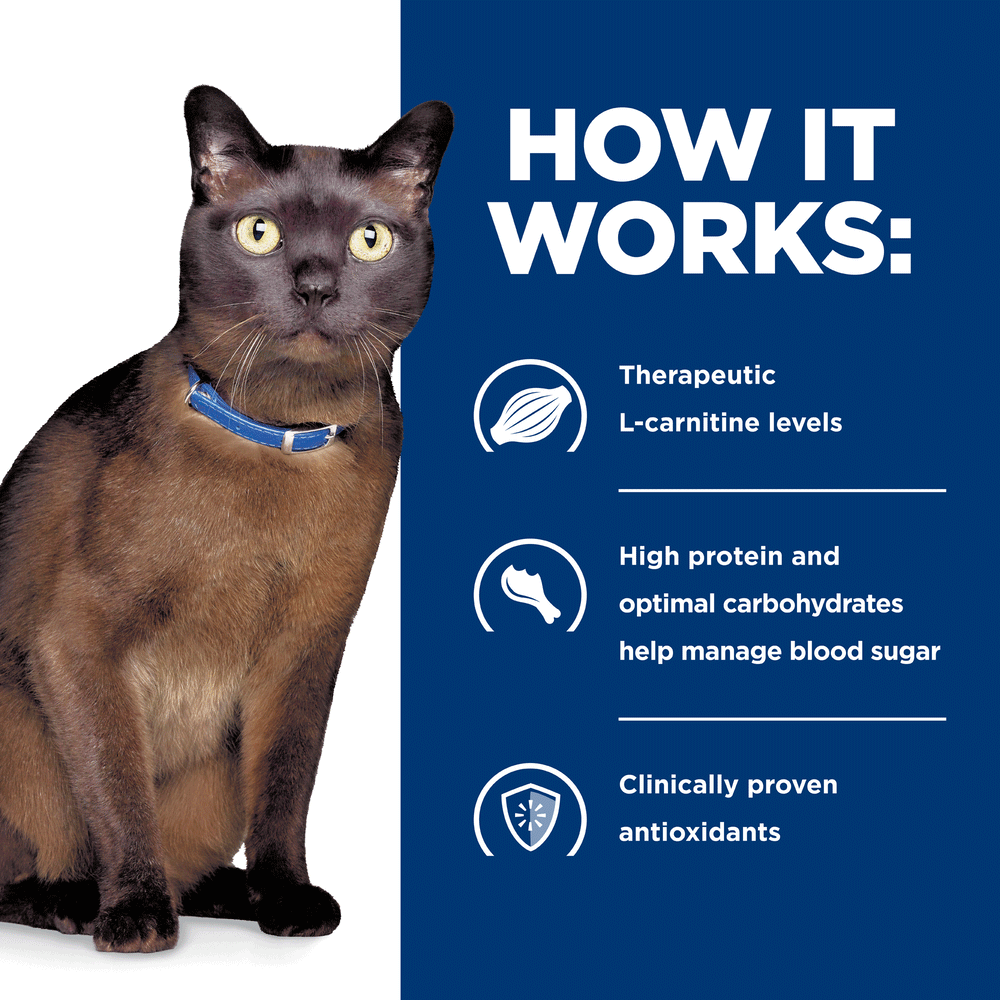 Md Glucose Support Dry Cat Food 3 Md Glucose Support Dry Cat Food