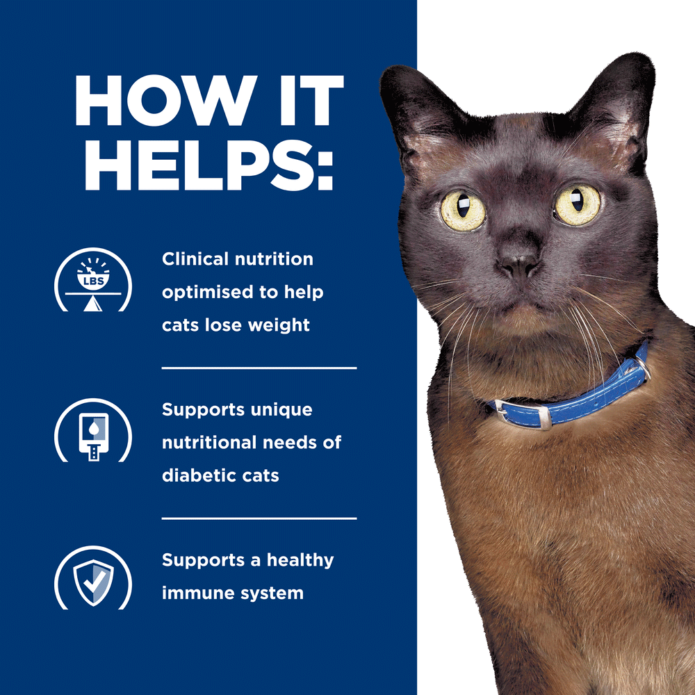 Md Glucose Support Dry Cat Food 4 Md Glucose Support Dry Cat Food