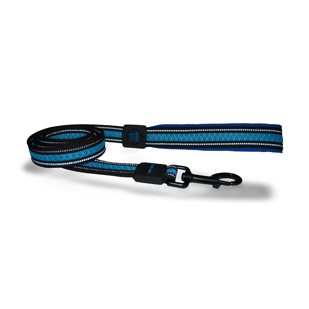 Reflective Padded Leash Blue