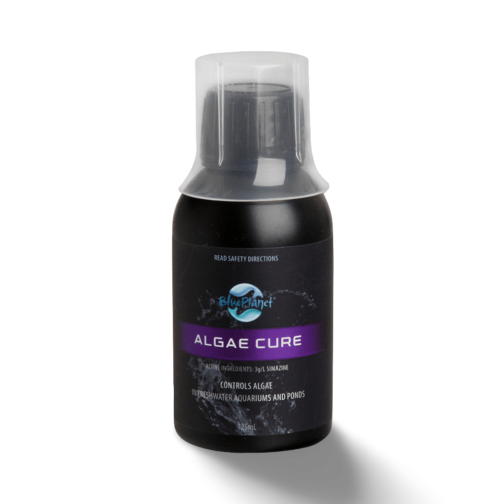 Algae Cure