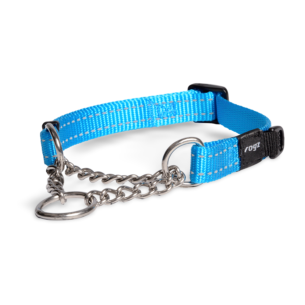 Obedience Collar Turquoise 1 Obedience Collar Turquoise
