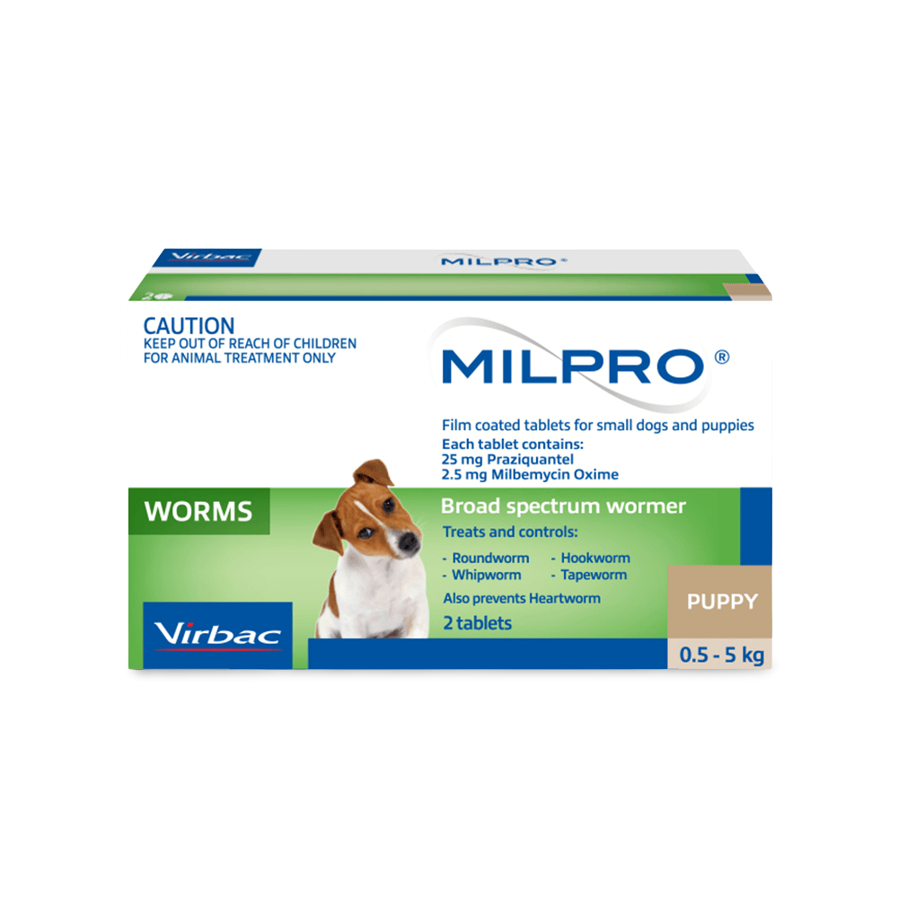 For Small Dogs And Puppies 1 For Small Dogs And Puppies