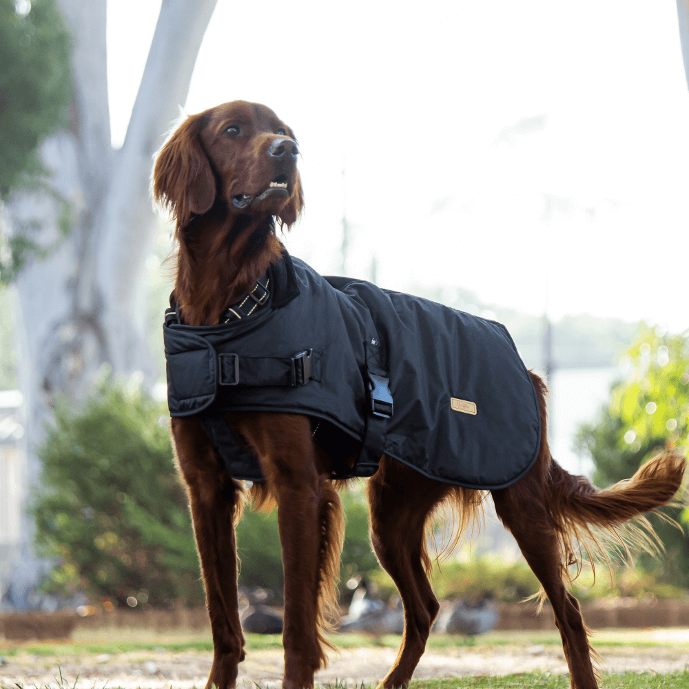 Coat Waxed Cotton Thunder 8 Coat Waxed Cotton Thunder
