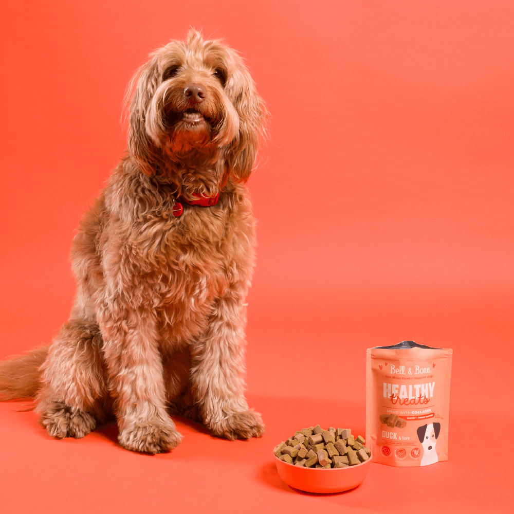 Healthy Dog Treats Duck And Fibre 3 Healthy Dog Treats Duck And Fibre