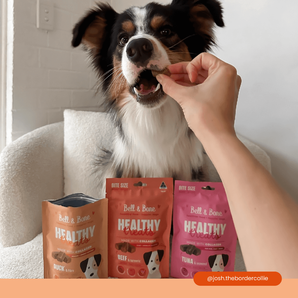 Healthy Dog Treats Duck And Fibre 4 Healthy Dog Treats Duck And Fibre