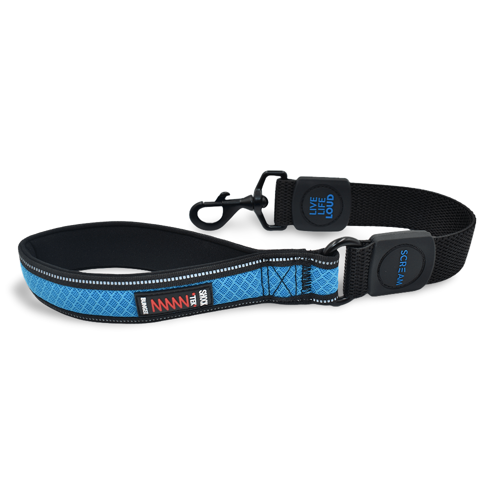 Reflective Bungee Leash With Padded Handle Loud Blue