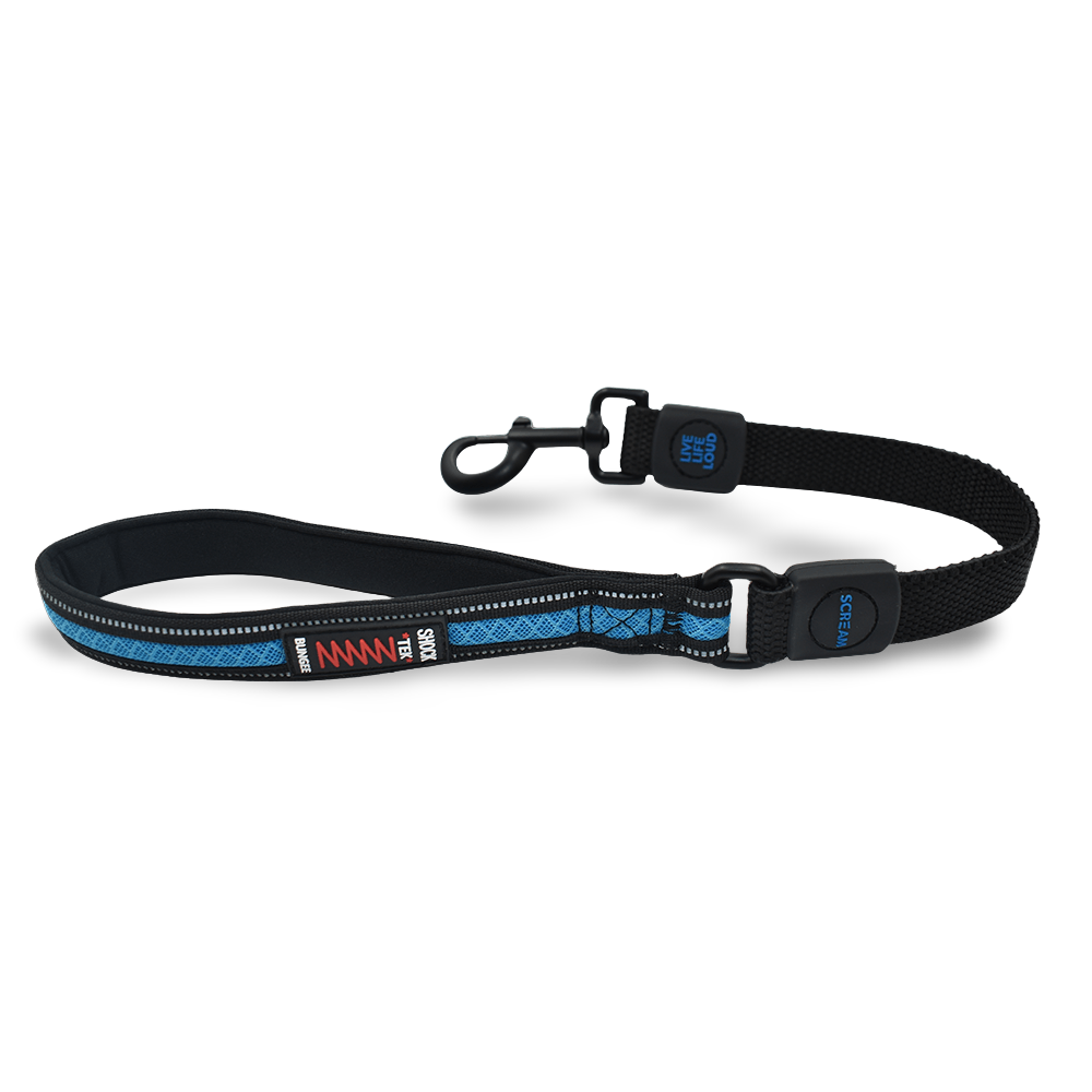 Reflective Bungee Leash With Padded Handle Loud Blue 2 Reflective Bungee Leash With Padded Handle Loud Blue