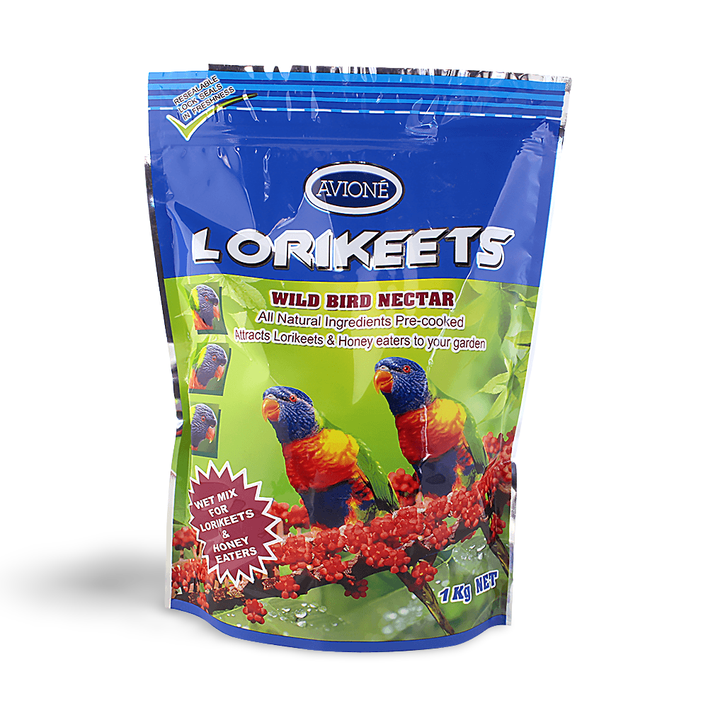 Lorikeets Wild Bird Nectar