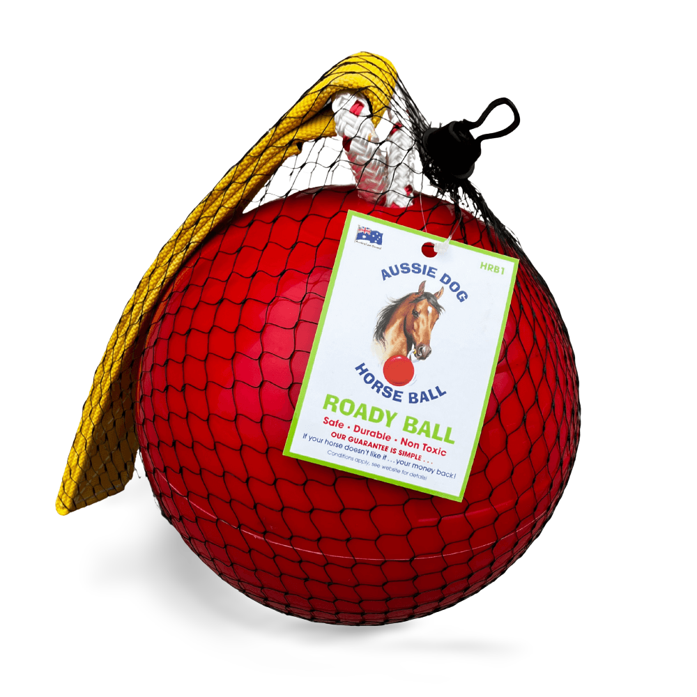 Roady Ball 3 Roady Ball