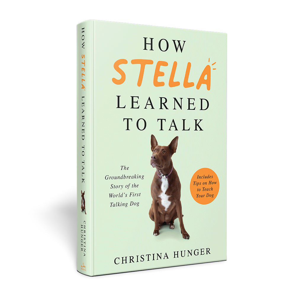 Book How Stella Learned To Talk 2 Book How Stella Learned To Talk