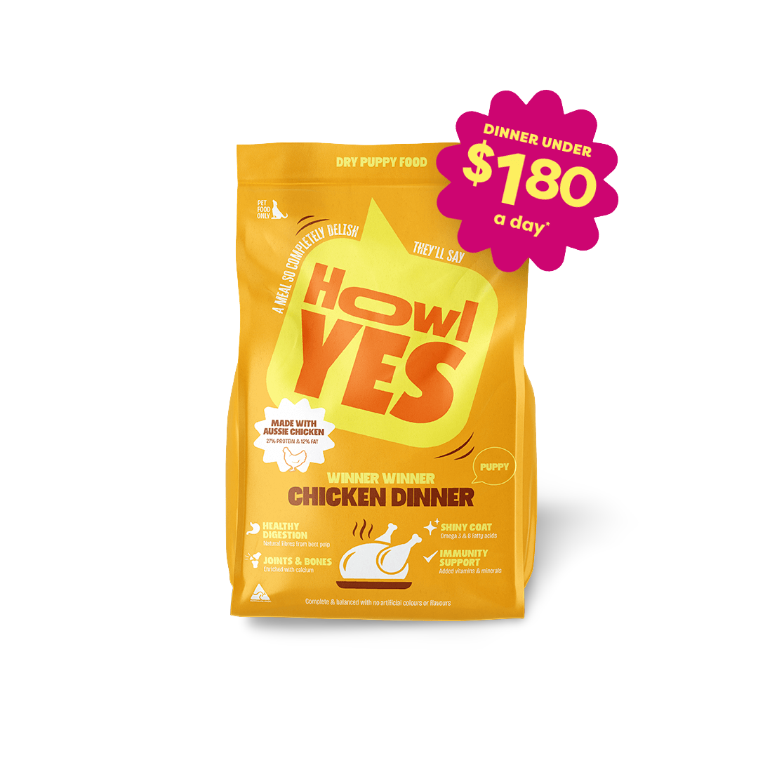 Puppy Chicken Dry Dog Food 2 Puppy Chicken Dry Dog Food
