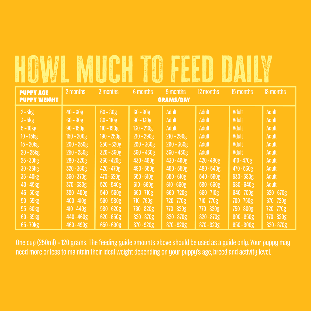 Puppy Chicken Dry Dog Food 6 Puppy Chicken Dry Dog Food