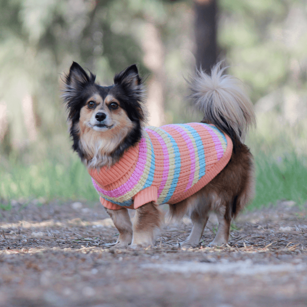Jumper Soho Knit Sherbert 7 Jumper Soho Knit Sherbert