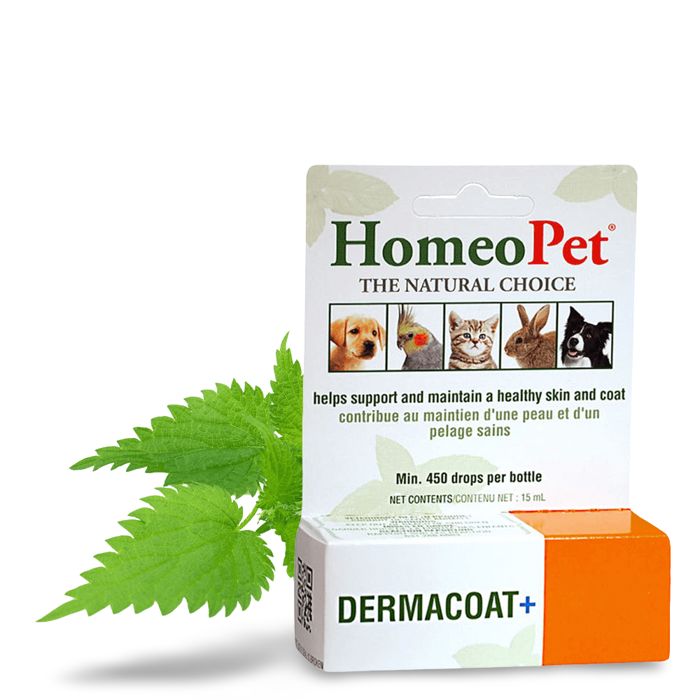 Dermacoat Plus 2 Dermacoat Plus