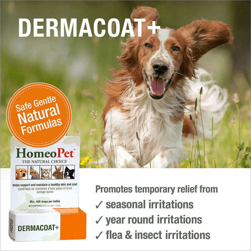 Dermacoat Plus 3 Dermacoat Plus