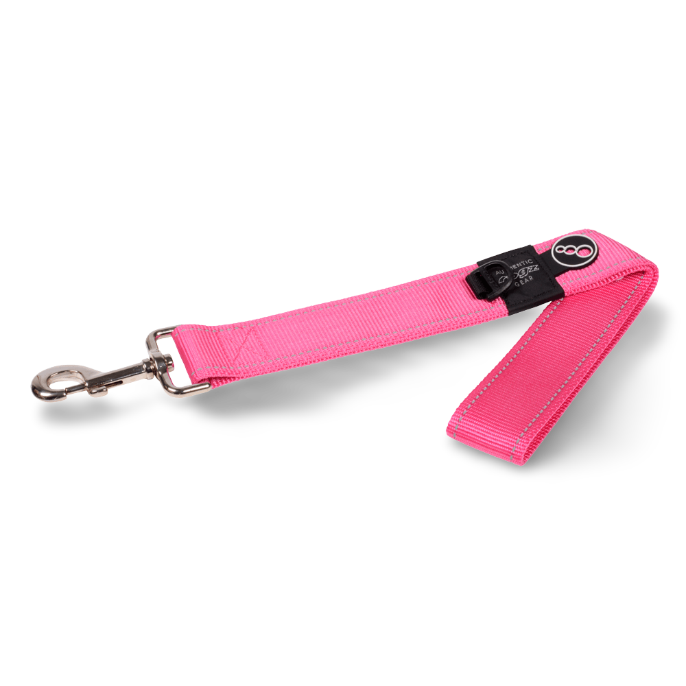 Pink Dog Lead 2 Pink Dog Lead