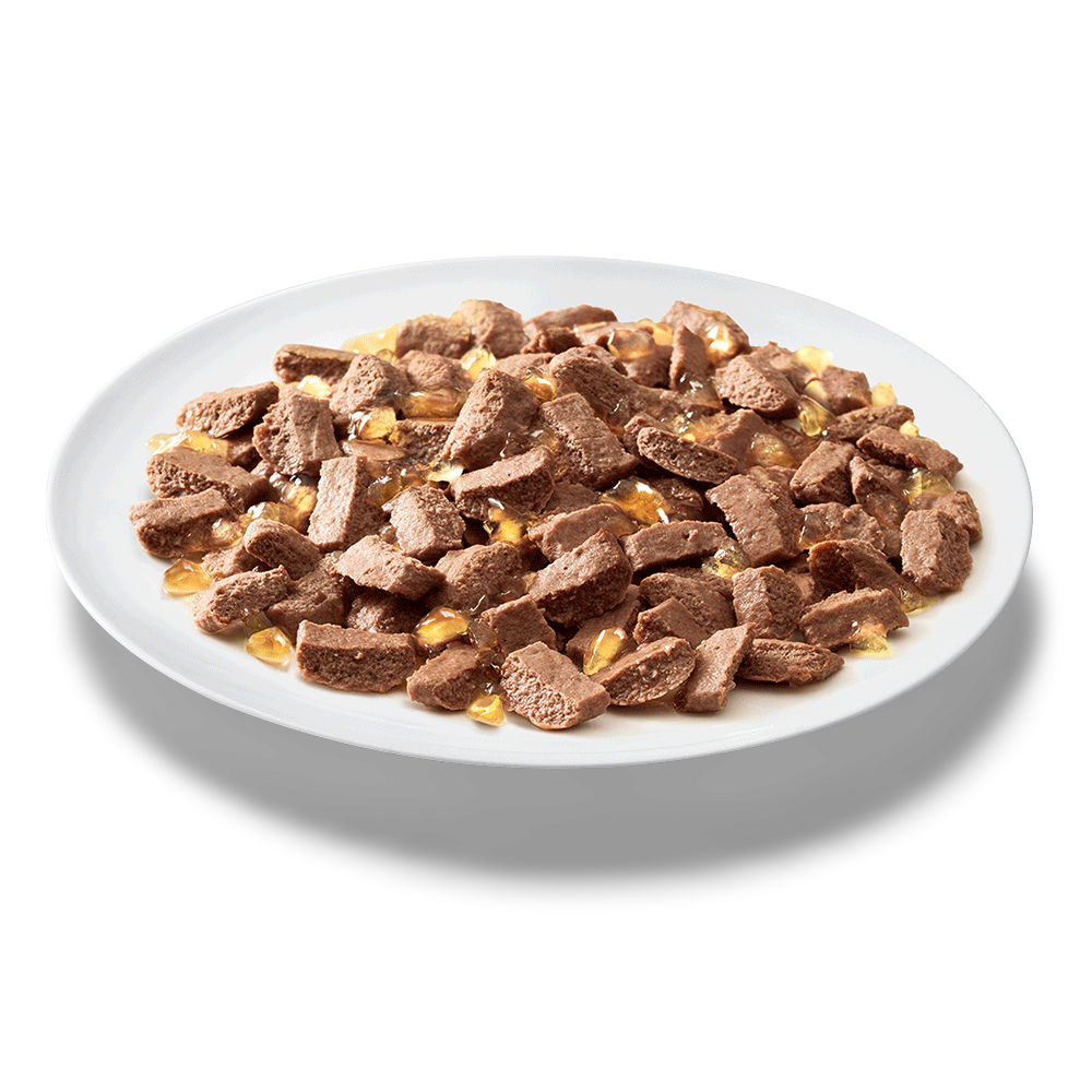 1 Plus Tuna Favourites In Jelly Pouches Wet Cat Food 3 1 Plus Tuna Favourites In Jelly Pouches Wet Cat Food