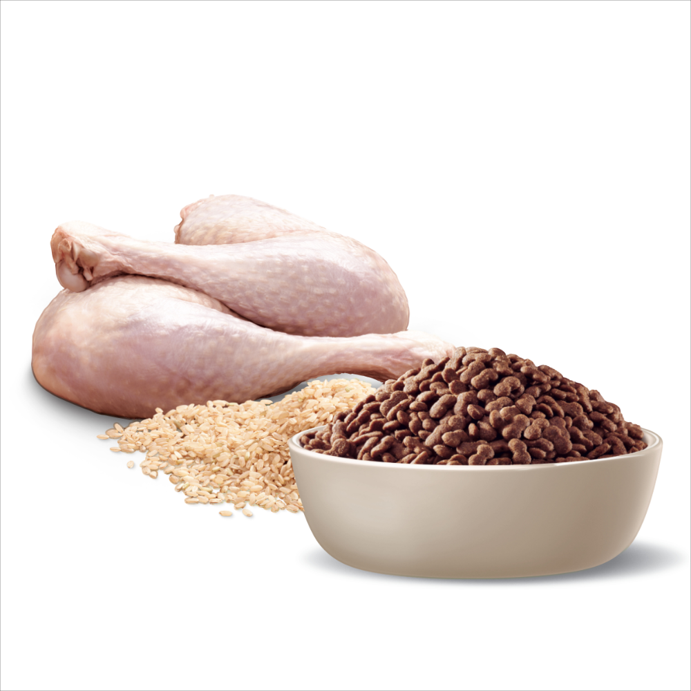 Adult Maltese Cross Turkey With Rice Dry Dog Food 5 Adult Maltese Cross Turkey With Rice Dry Dog Food