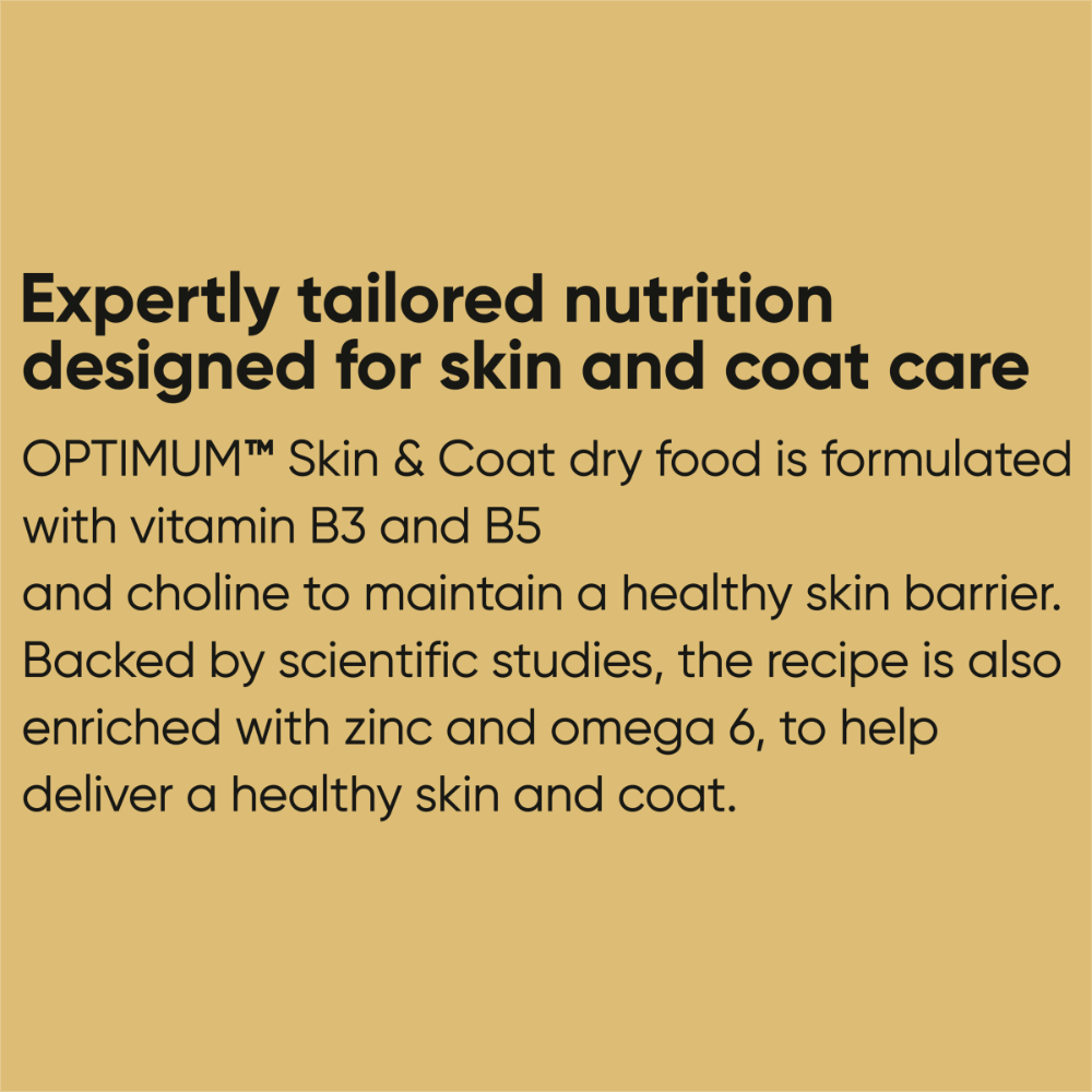 Adult Skin And Coat Dry Dog Food With Turkey 4 Adult Skin And Coat Dry Dog Food With Turkey