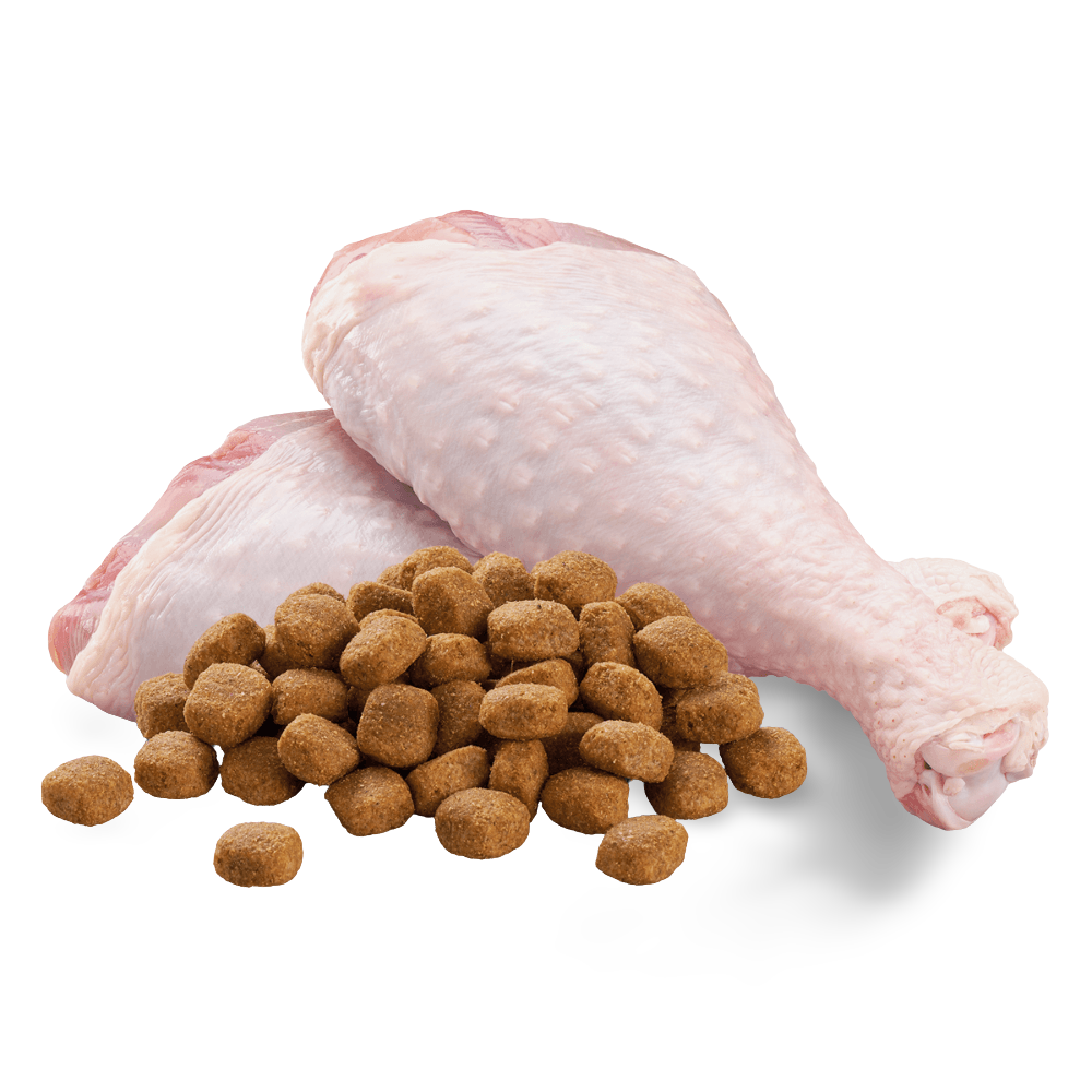 Adult Skin And Coat Dry Dog Food With Turkey 7 Adult Skin And Coat Dry Dog Food With Turkey