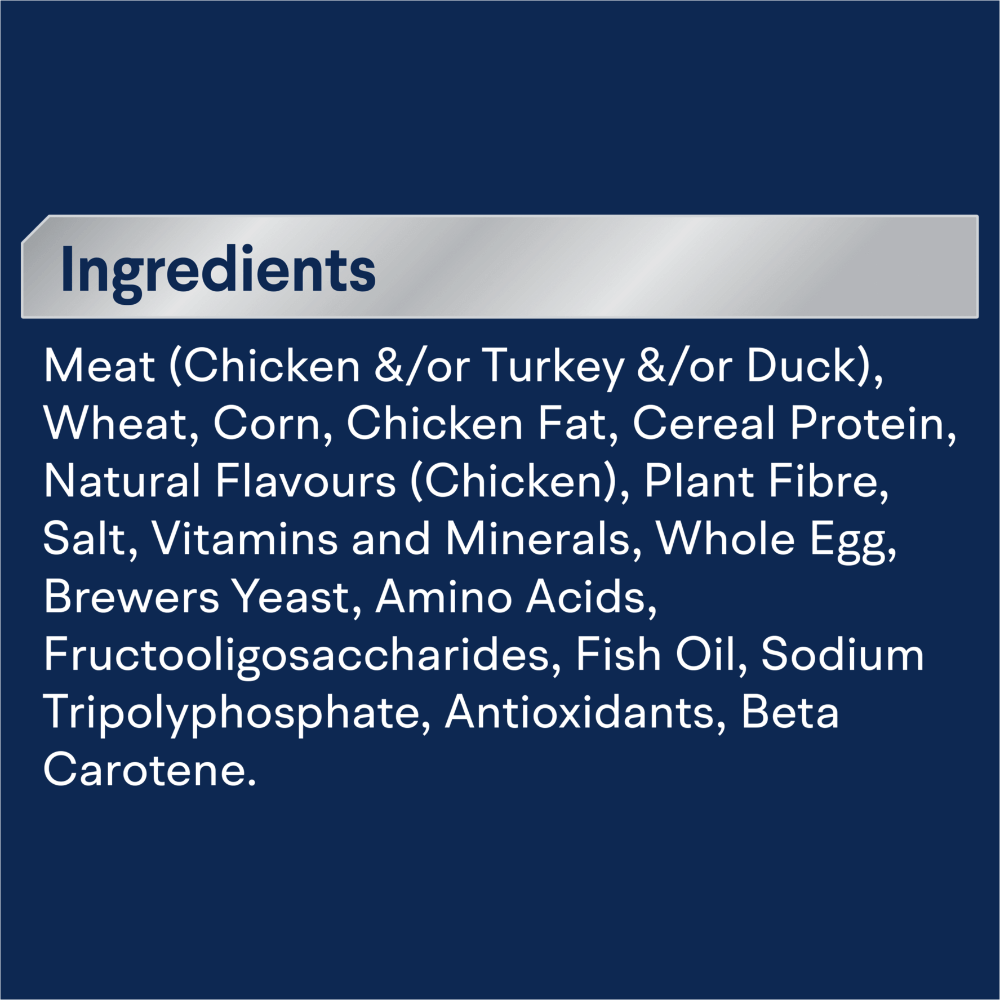 Adult Chicken Dry Cat Food 10 Adult Chicken Dry Cat Food
