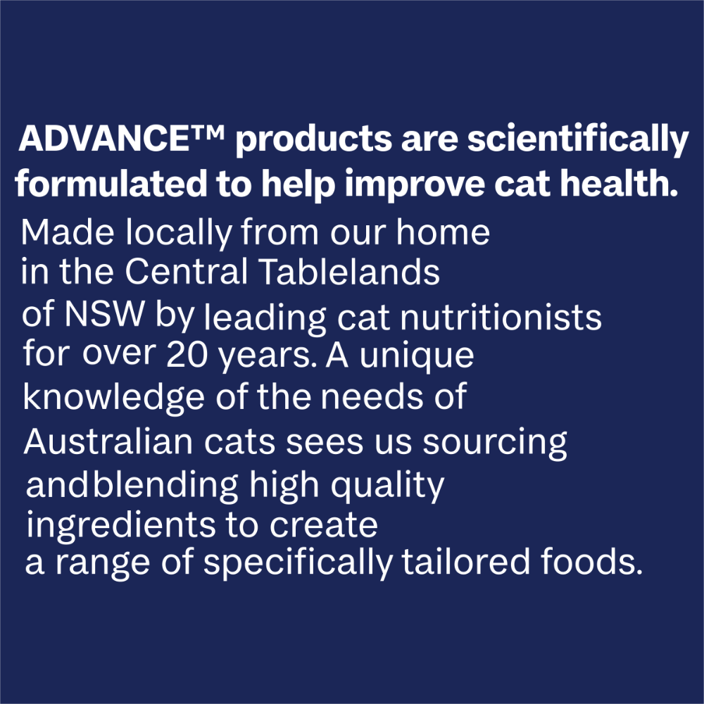Adult Chicken Dry Cat Food 11 Adult Chicken Dry Cat Food