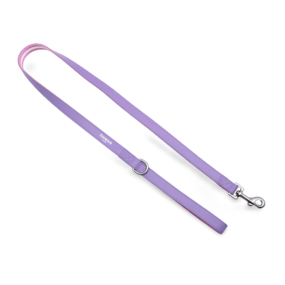 Florence Appleskin Dog Leash Purple 1 Florence Appleskin Dog Leash Purple