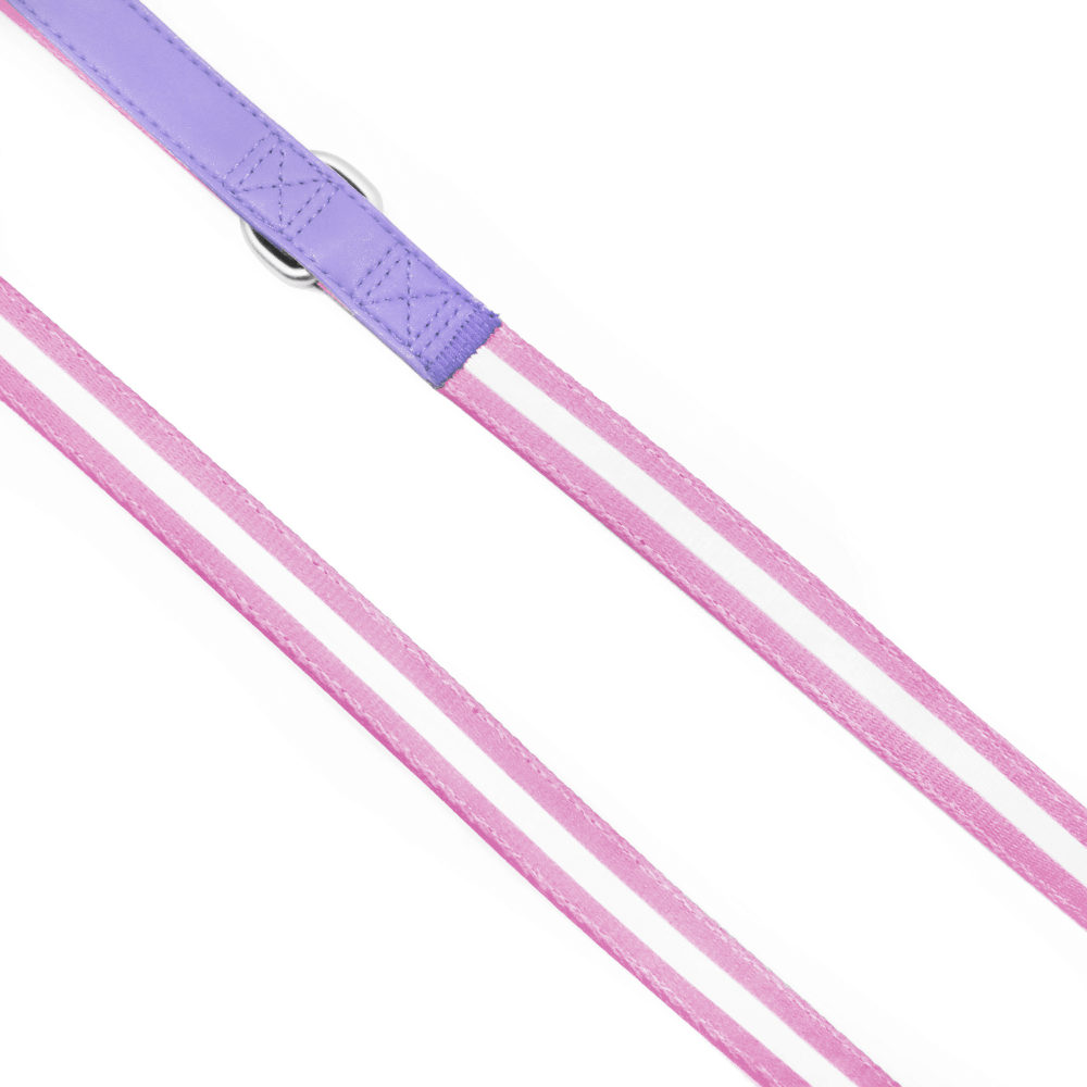 Florence Appleskin Dog Leash Purple 3 Florence Appleskin Dog Leash Purple