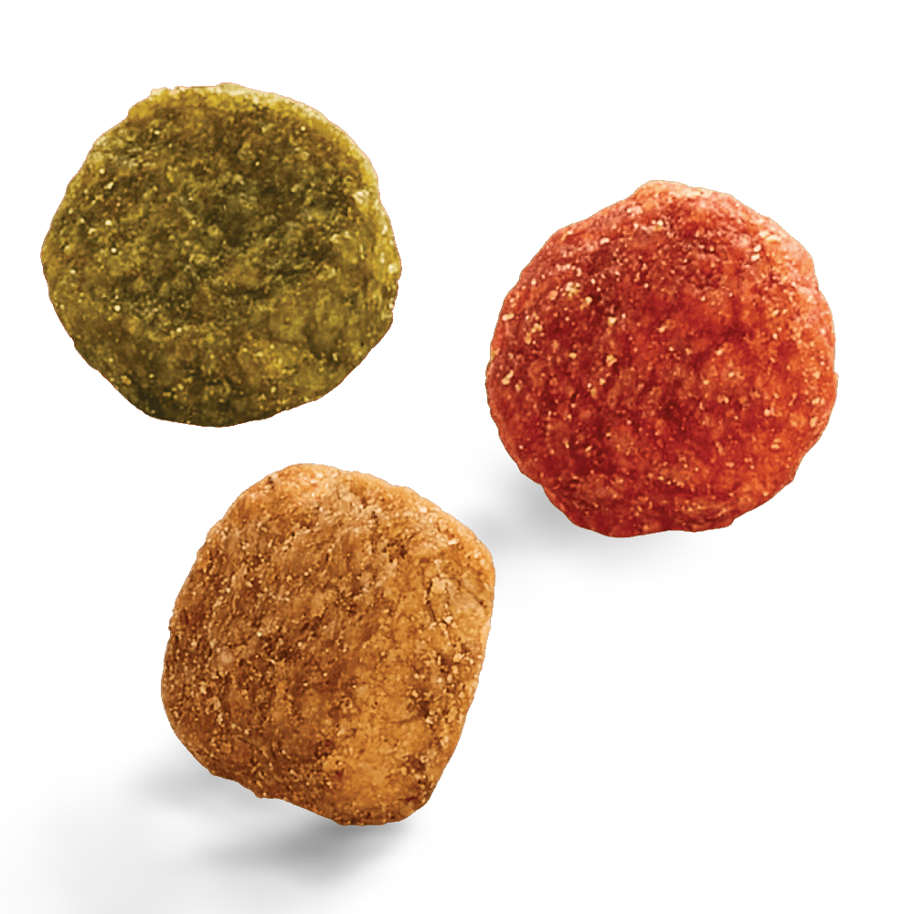 Indoor 1 Plus Chicken And Turkeydry Cat Food 4 Indoor 1 Plus Chicken And Turkeydry Cat Food