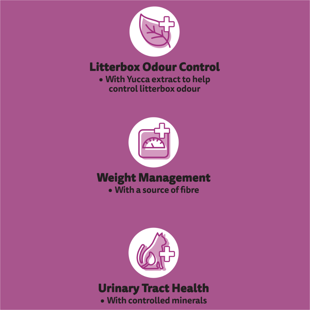 Indoor 1 Plus Chicken And Turkeydry Cat Food 5 Indoor 1 Plus Chicken And Turkeydry Cat Food