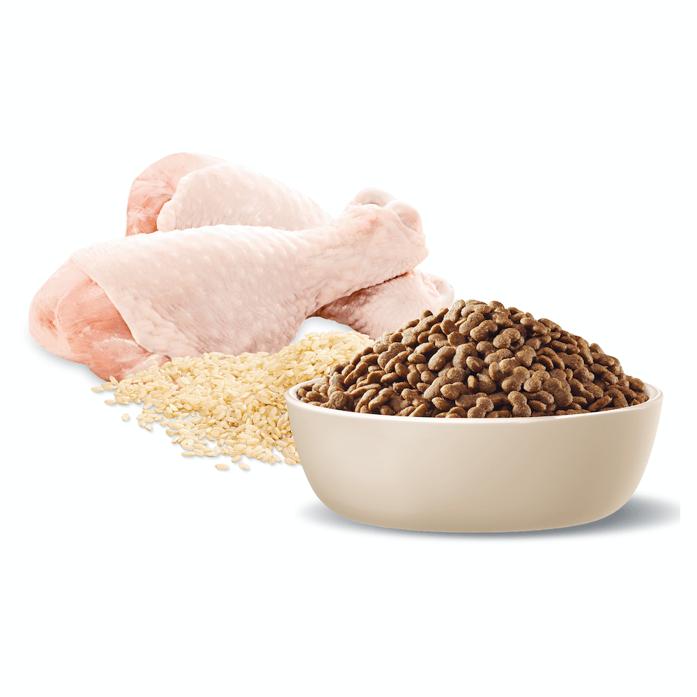 Healthy Ageing Small Adult Dry Dog Food Chicken With Rice 2 Healthy Ageing Small Adult Dry Dog Food Chicken With Rice