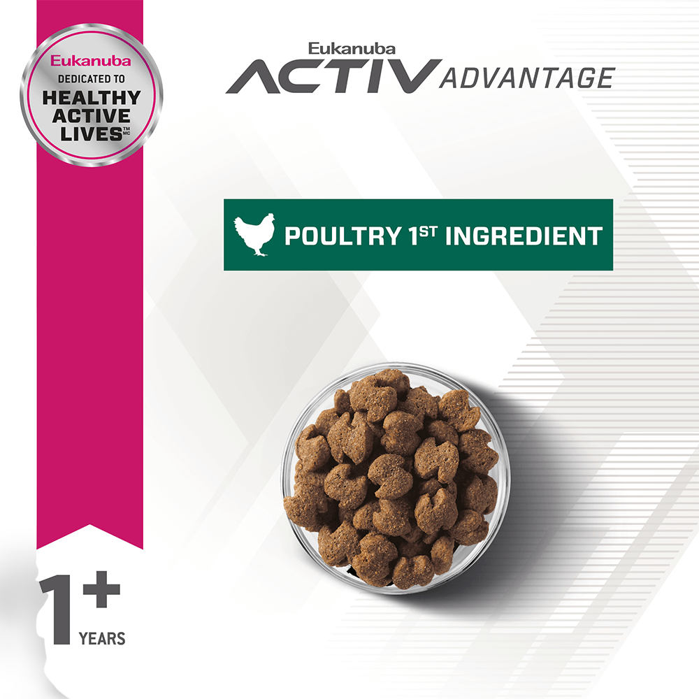 Adult Fit Body Weight Control Large Breed Dry Dog Food 2 Adult Fit Body Weight Control Large Breed Dry Dog Food