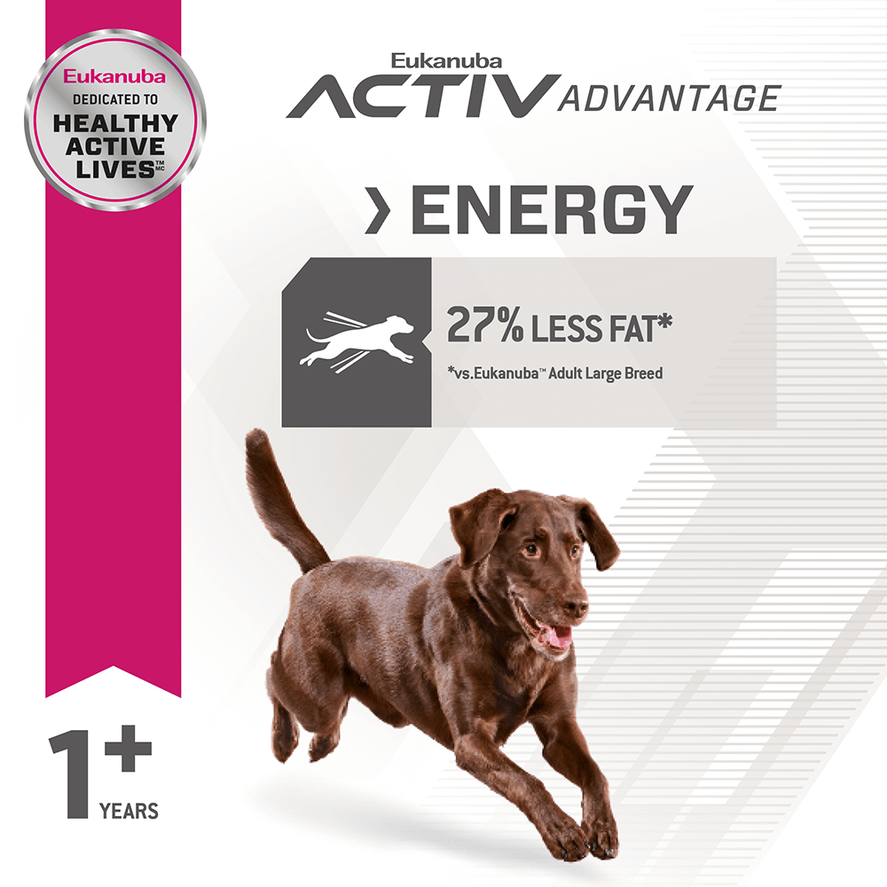 Adult Fit Body Weight Control Large Breed Dry Dog Food 3 Adult Fit Body Weight Control Large Breed Dry Dog Food