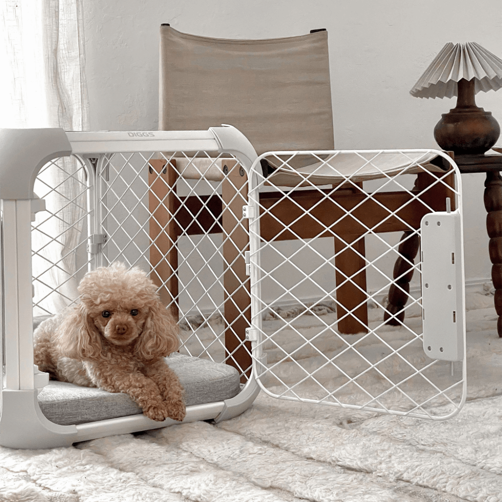 Evolv White Dog Crate 13 Evolv White Dog Crate