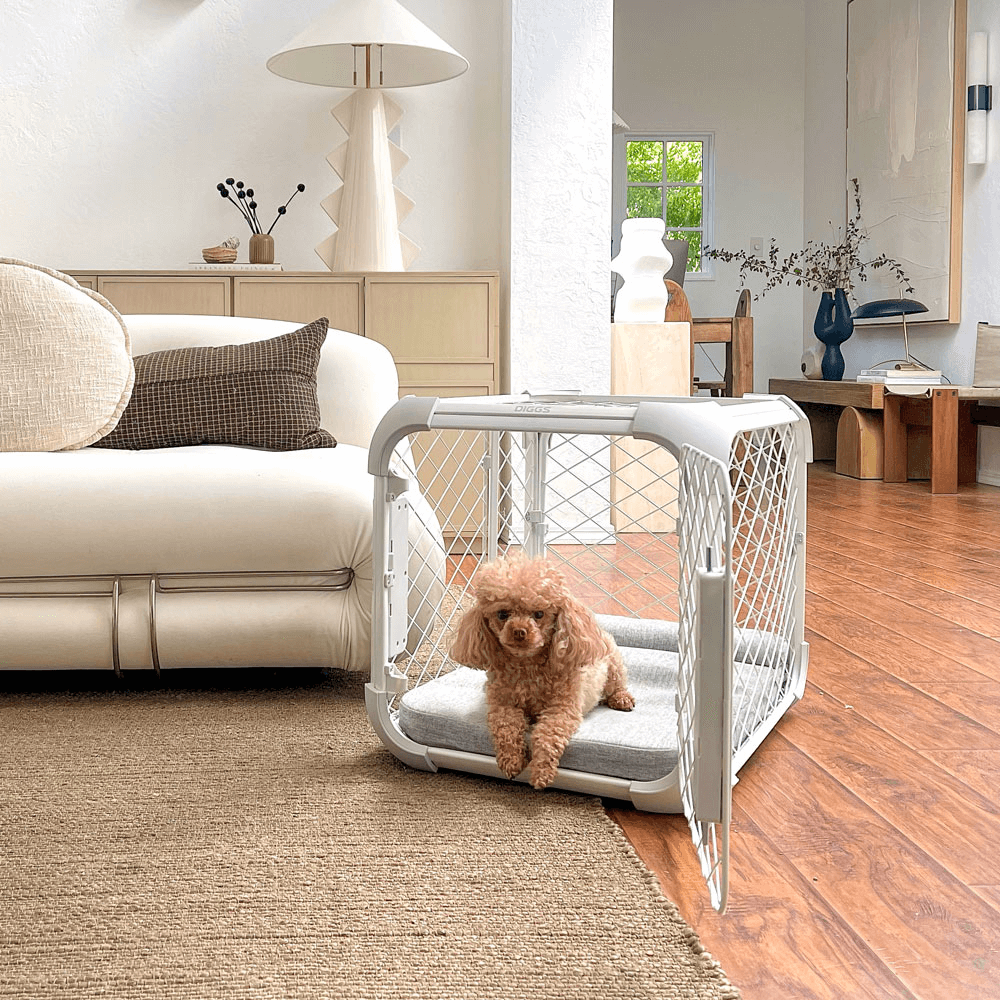 Evolv White Dog Crate 14 Evolv White Dog Crate
