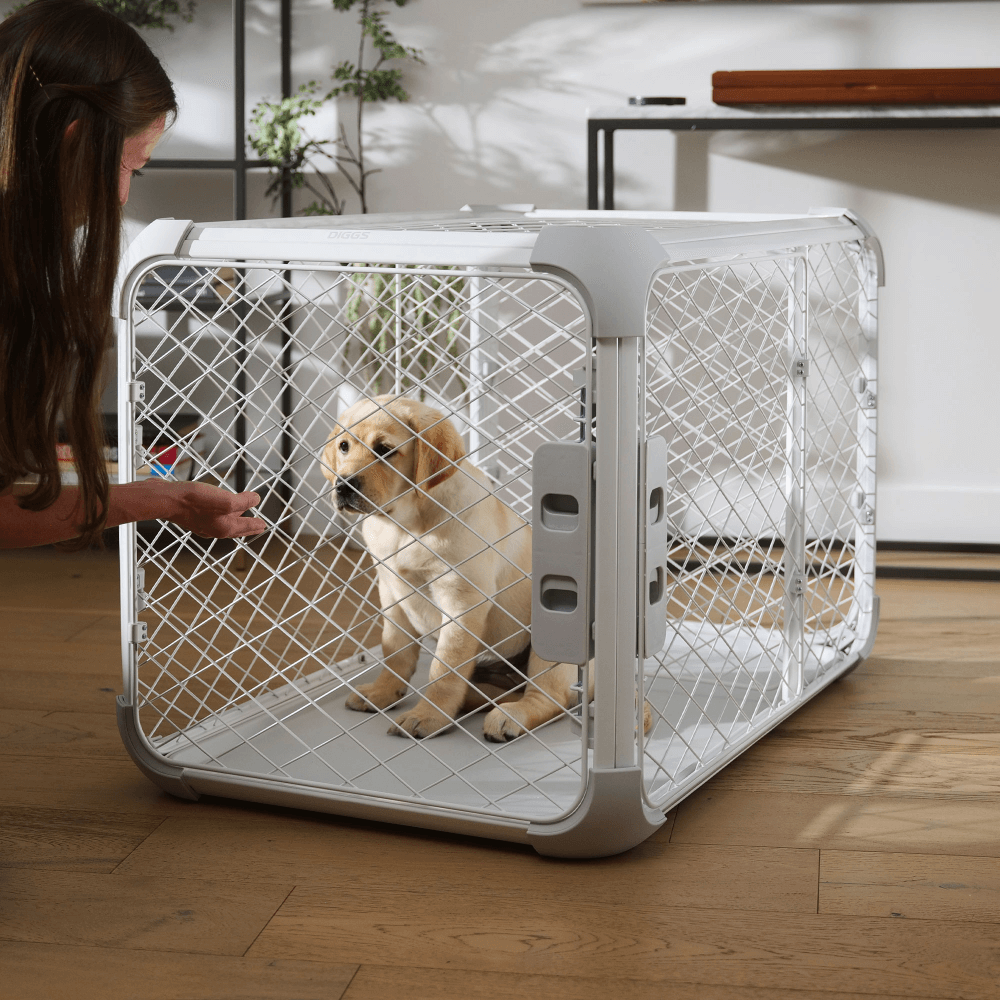 Evolv White Dog Crate 15 Evolv White Dog Crate