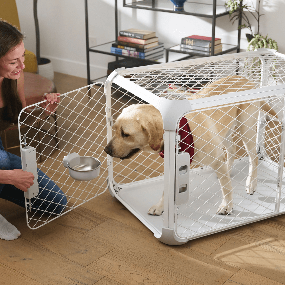 Evolv White Dog Crate 16 Evolv White Dog Crate