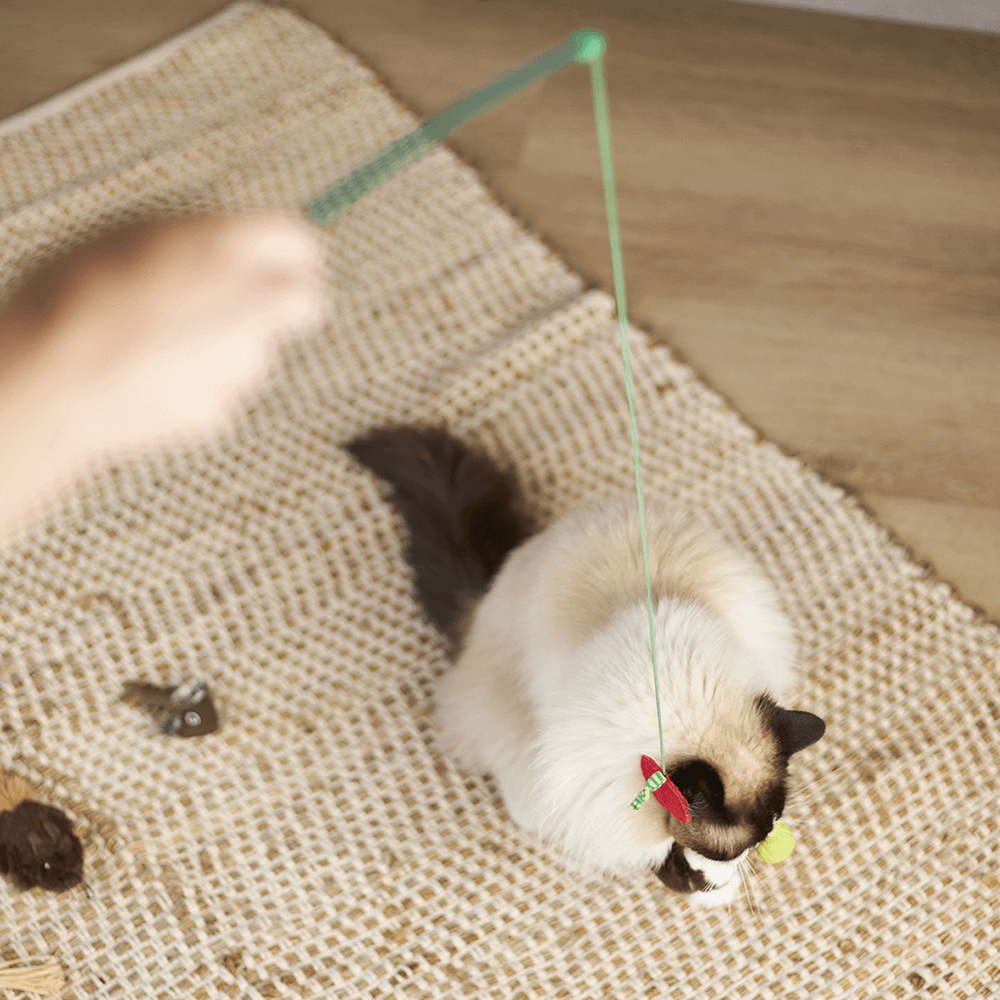Hungry Caterpillar Wand Cat Toy 2 Hungry Caterpillar Wand Cat Toy