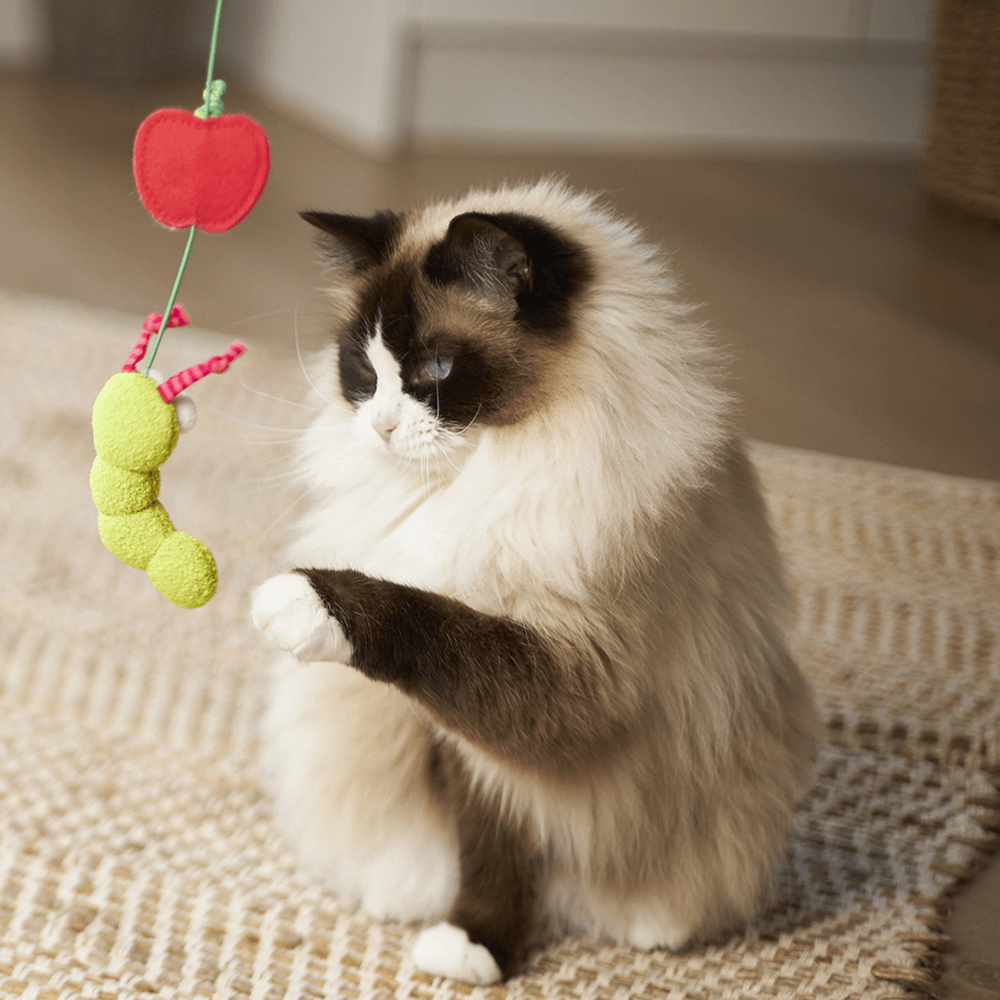 Hungry Caterpillar Wand Cat Toy 4 Hungry Caterpillar Wand Cat Toy