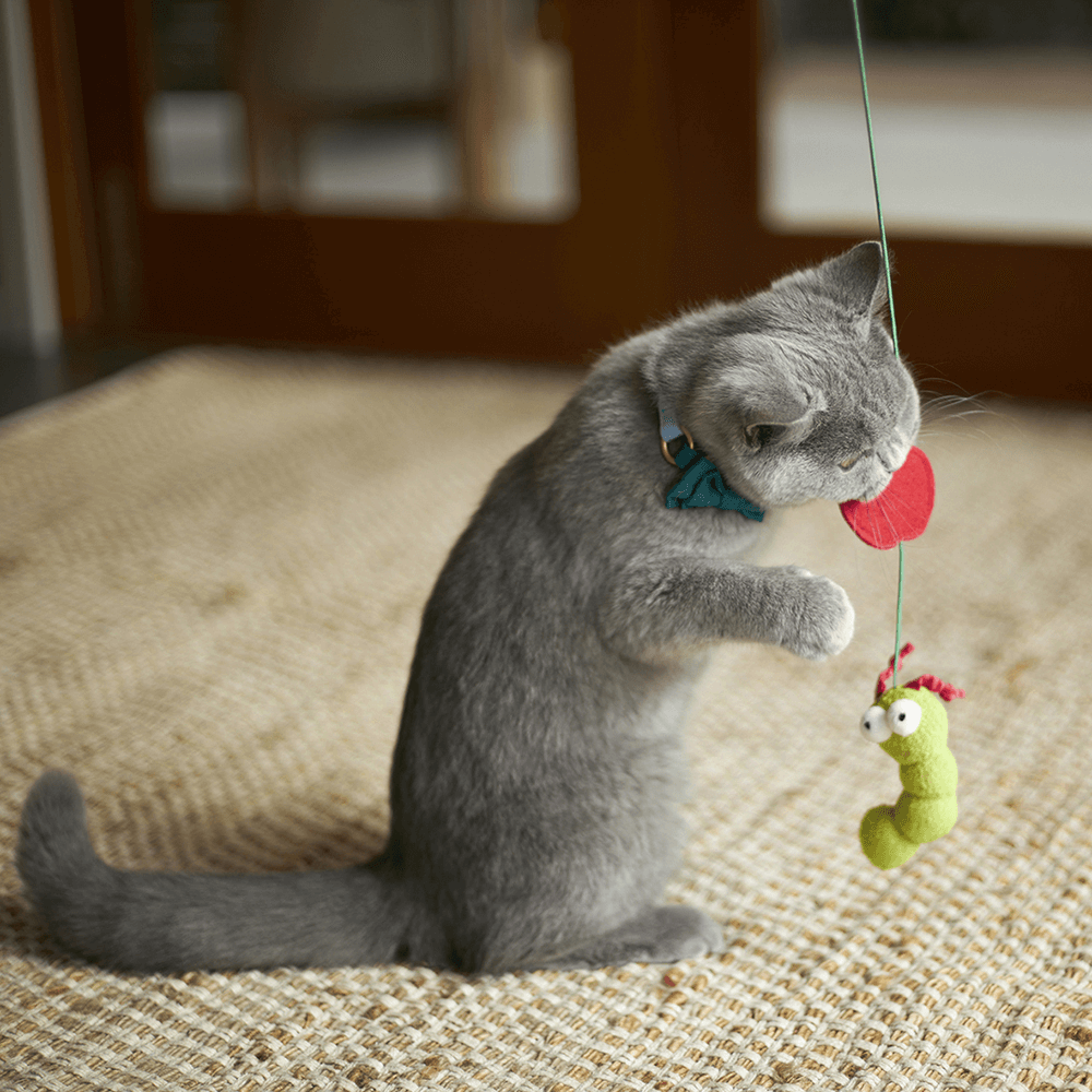 Hungry Caterpillar Wand Cat Toy 6 Hungry Caterpillar Wand Cat Toy